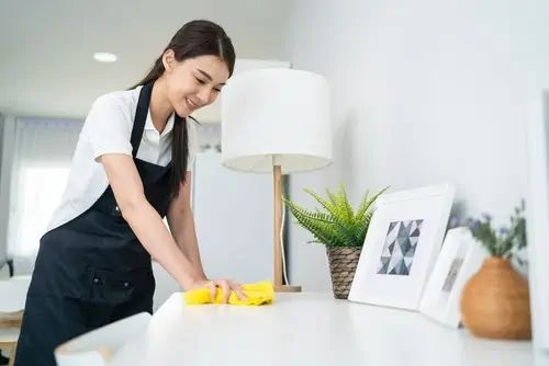 Singapore’s Maid Agency Landscape: Opportunities and Challenges